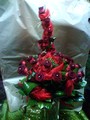 2010-01-31